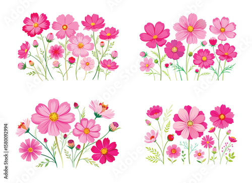 Four beautiful cosmos flower groups in different shades of pink on white