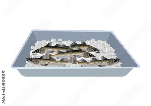 Fish tray vector