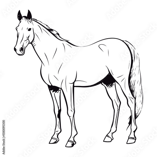 outlined Quarter Horse coloring page illustration.