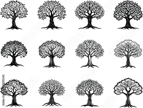 Black and white tree illustrations with various foliage types and patterns