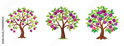 Illustration of three plum trees with green leaves and ripe plums