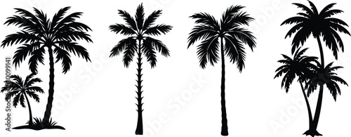 Silhouette of different types of Palm trees against white background, summer themes