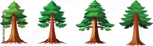 Four cartoon evergreen trees with green needles and brown trunks illustration