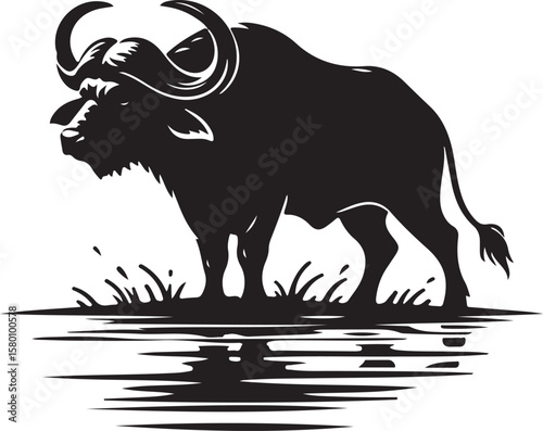 Buffalo