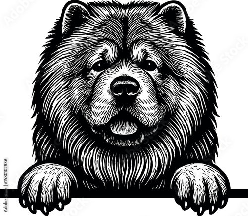 Chow Chow Peeking vector silhouette design