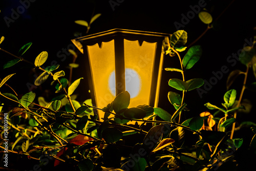 Old street lantern in a green foliage at night