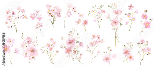 Delicate Watercolor Pink Wildflower Bouquets. Pink Tiny Meadow Flower. PNG files. 