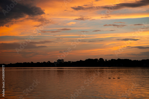 Fototapeta Naklejka Na Ścianę i Meble -  three ducks swimming in the lake during a beautiful orange summer sunset