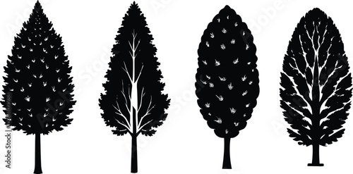 Four different species of trees are illustrated in a dark silhouette