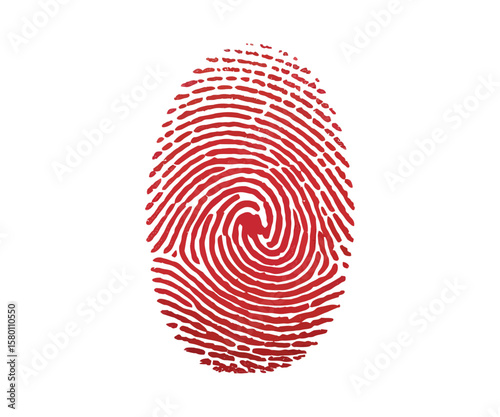 Fingerprint pattern for biometric identity and security vector