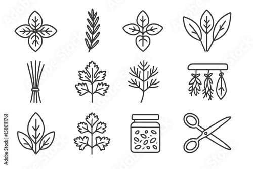 Herbal icons: basil, mint, rosemary, and dill designs on dark background