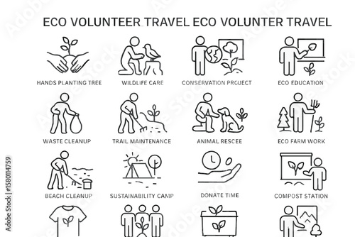 Eco volunteer activities: hands-on conservation projects and wildlife care