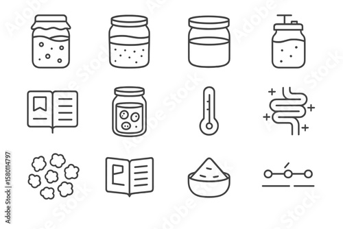 Fermentation process icons: jars, ingredients, thermometer, and instructions