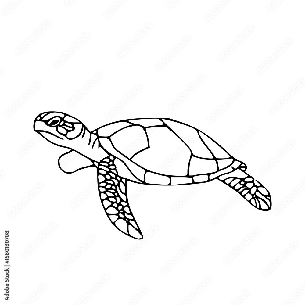 Naklejka premium sea turtle outline vector art