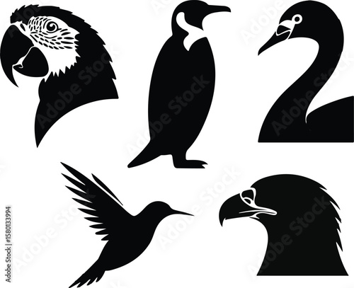 Elegant Black and White Silhouettes of Birds Macaw, Penguin, Swan, Hummingbird, Eagle