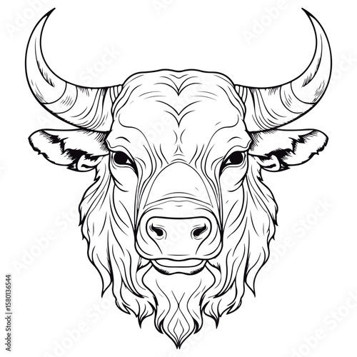 Coloring book for kids bull vector Black vector illustration.