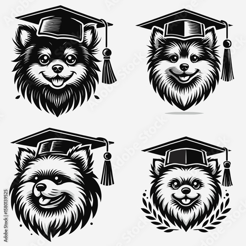 Pomeranian Dog. With Graduation Diploma Cap Graduate Clipart Line Art Vector Illustration. Tiny canine friend cute companion fluffy domestic pet small spitz breed.