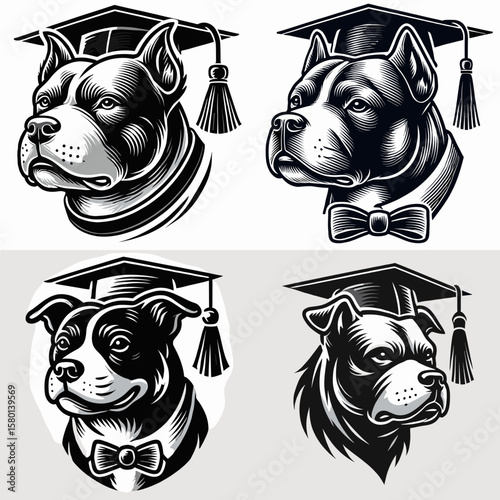 Pittbulls Dog. With Graduation Diploma Cap Graduate Clipart Line Art Vector Illustration. Bully canine breed info owning care temperament and behavior.