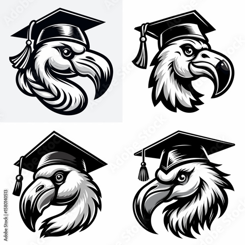 Flamingo. With Graduation Diploma Cap Graduate Clipart Line Art Vector Illustration. Tropical avian creature a pink bird observed living near water areas.
