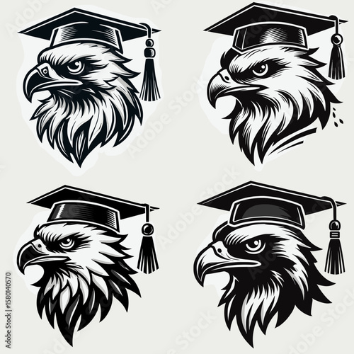 Falcon. With Graduation Diploma Cap Graduate Clipart Line Art Vector Illustration. Raptor bird a hunter of prey in nature avian wildlife conservation.