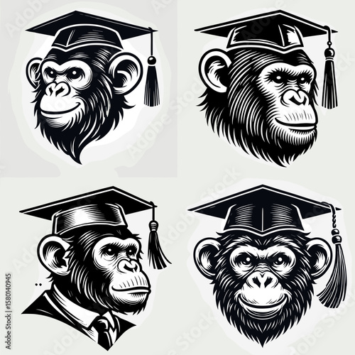 Chimpanzee. With Graduation Diploma Cap Graduate Clipart Line Art Vector Illustration. Primate kind a great ape clever creature intelligent being wildlife.