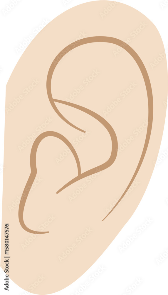 Human Ear Limbs Human Ear Limbs