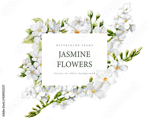 Jasmine watercolor vector design