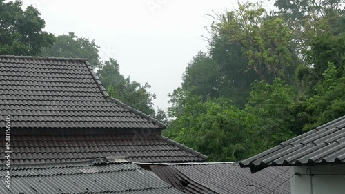 Wallpaper Mural View from the roof of a house during heavy rain and thunderstorm in rural Phuket in Thailand. Heavy rain falls on roof tiles during the rainy season Torontodigital.ca