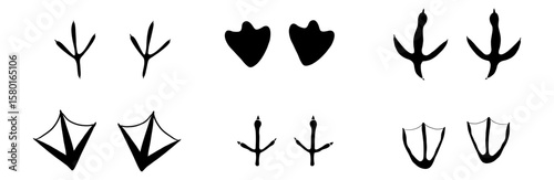 Bird foot mark print silhouette set. Bird trail goose duck foot. Raven owl parrot turkey feet, hen or chicken stump path.