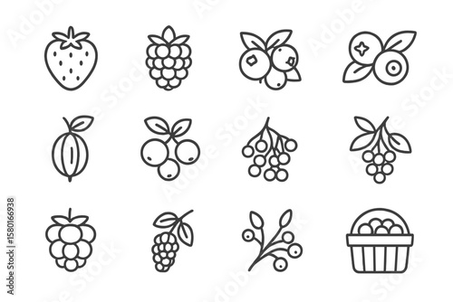 Outline icons of various berries on dark background