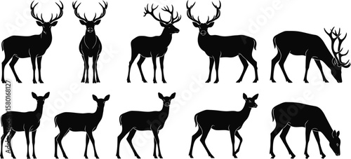 Black silhouette deer and doe collection on white background stag fawn