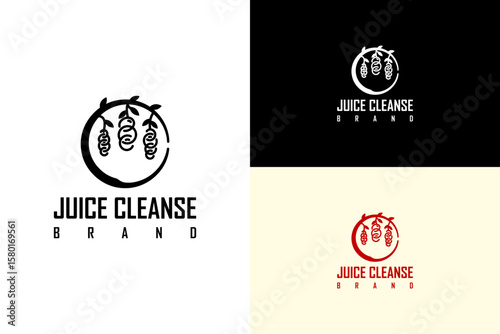vector illustration of fruit tree branch forming a circle, logo for  juice cleanse brand, detox juice, smoothies, green, herbal treatment, natural, organic, juice shop, healthy, and more