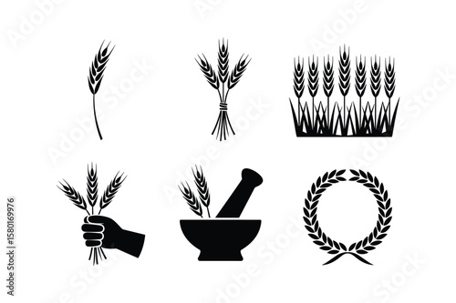 Wheat stalks in various arrangements and a laurel wreath grain agriculture
