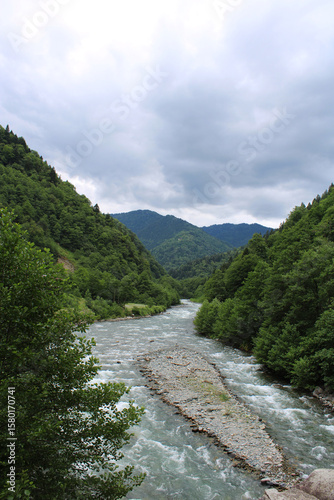 a river running through the forest