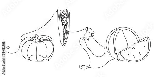 Autumn vegetables and berries in line rat technique: pumpkin, corn, eggplant and watermelon. Hand drawn with one continuous line. Healthy eating. Vector illustration of vegetables and berries.
