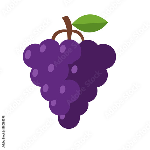 A vibrant illustration of a cluster of ripe, purple grapes with a green leaf.