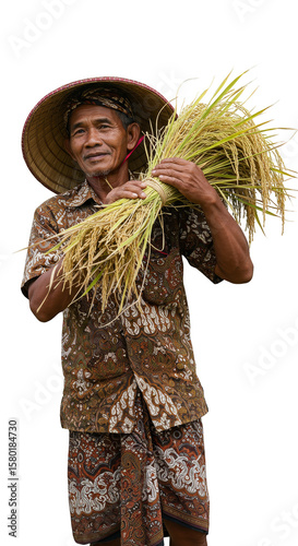 Harvesting Rice Farmer in Brown Shirt and Hat PNG Transparent