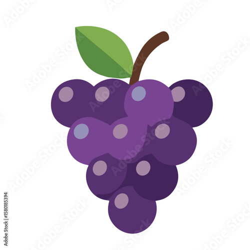 A cluster of dark purple grapes with a single green leaf.