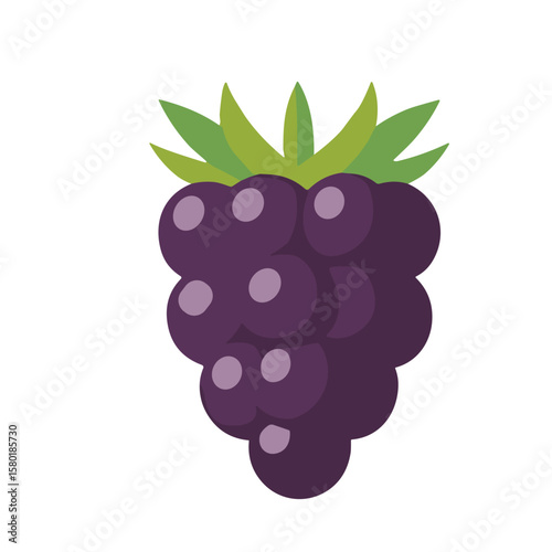 A vibrant illustration of a ripe blackberry with green leaves, isolated on white.