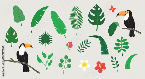 A set of tropical plants with a summer and jungle background. Palm trees, various leaves, and the tropical bird toucan