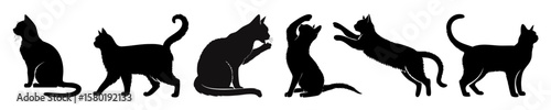 American Shorthair Cat Silhouette Set Featuring Side Profile, Sitting Upright, Walking, Rearing, And Various Poses, Black Vector Art Isolated On White Background
