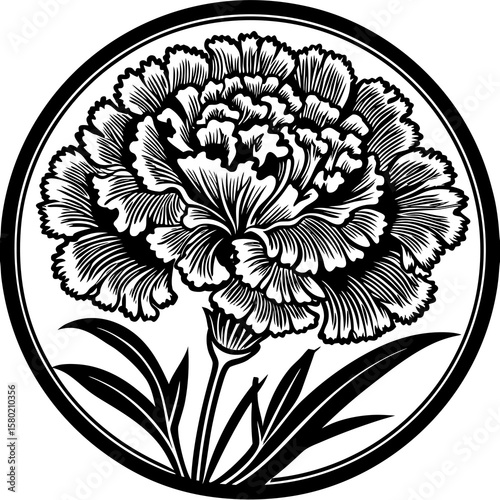 Carnation with ruffled petals in linocut texture