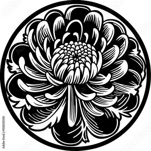 Chrysanthemum flower in woodcut vintage style