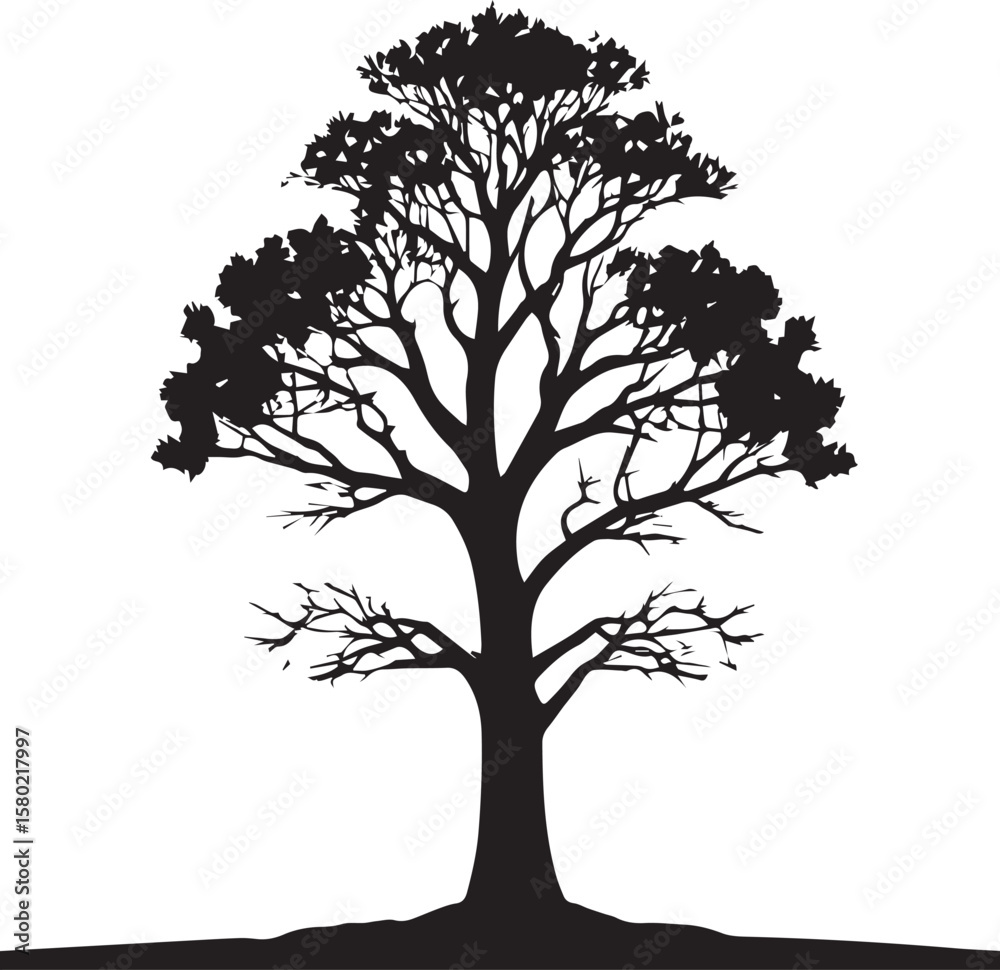 Fototapeta premium Tree silhouette Vector | Minimalist & Trendy Tree Silhouette Design | Unique & Stylish Tree Artwork for Vector design