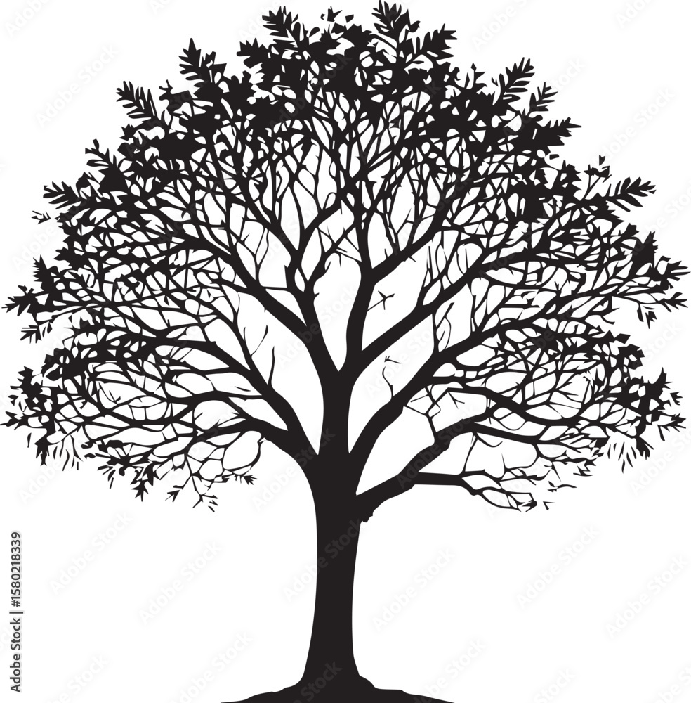 Fototapeta premium Tree silhouette Vector | Minimalist & Trendy Tree Silhouette Design | Unique & Stylish Tree Artwork for Vector design 