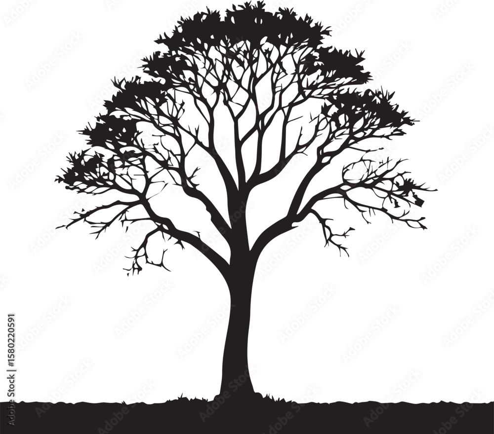 Obraz premium Tree silhouette Vector | Minimalist & Trendy Tree Silhouette Design | Unique & Stylish Tree Artwork for Vector design 