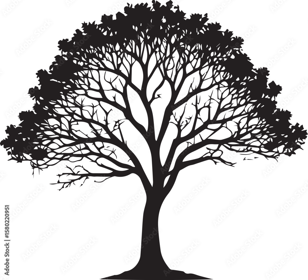 Fototapeta premium Tree silhouette Vector | Minimalist & Trendy Tree Silhouette Design | Unique & Stylish Tree Artwork for Vector design 
