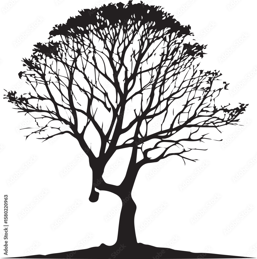 Fototapeta premium Tree silhouette Vector | Minimalist & Trendy Tree Silhouette Design | Unique & Stylish Tree Artwork for Vector design 