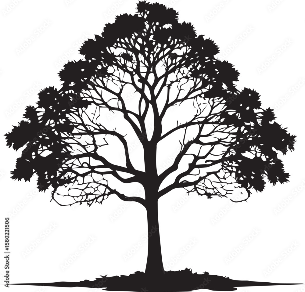 Fototapeta premium Tree silhouette Vector | Minimalist & Trendy Tree Silhouette Design | Unique & Stylish Tree Artwork for Vector design 