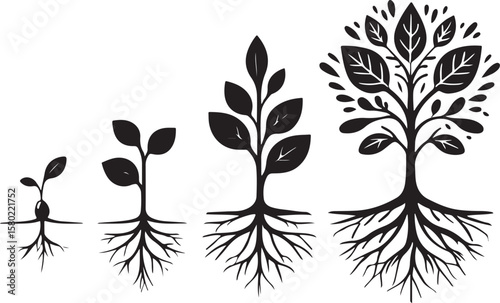 Plant growth stages tree development seedling
